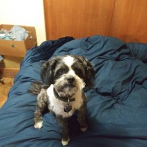 Meet your Posher, Jack